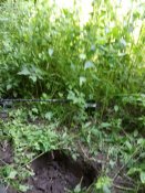 IMG_20190629_124359.jpg