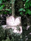 IMG_20190630_092431.jpg