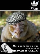 обезьяна.jpg