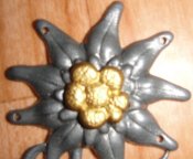 DSC03910.JPG