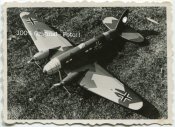 Modellflugzeug3.jpg