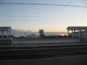 IMG_5487.jpg