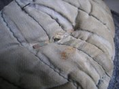 IMG_3435_.jpg
