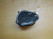 DSCN0885.jpg