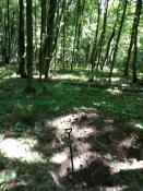 IMG_20190704_104042.jpg