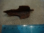DSC01843.jpg