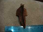 DSC01844.jpg