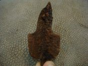 DSC01845.jpg
