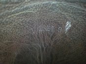 20102012837.jpg