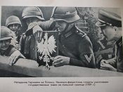 Изображение 052.jpg
