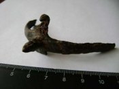 DSC01409_thumb.jpg