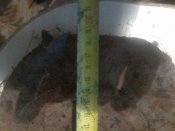 20190707_180548.jpg