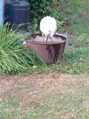IMG_20190711_162611.jpg