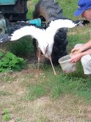 IMG_20190711_162751.jpg