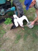 IMG_20190711_162901.jpg