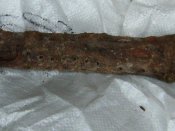 DSCF5194.JPG