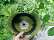 IMG_20190711_200656.jpg