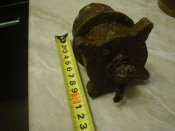 DSC08956.JPG