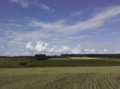 IMG_20190712_161150.jpg