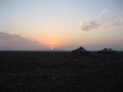 IMG_7159.jpg