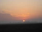 IMG_7160.jpg