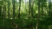IMG_20190713_111434.jpg