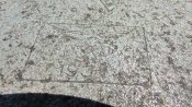 S6270022-min.JPG