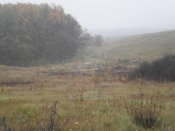 P1010004.jpg
