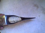 IMG2161A.jpg