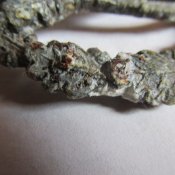 IMG_1698.JPG