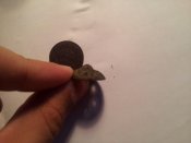 20121023_212614.jpg