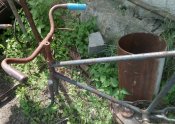 IMG_20190718_104044.jpg