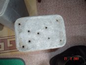 DSC01836.jpg