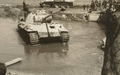 tiger.jpg20.jpg
