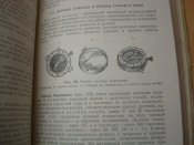 Военная топография.