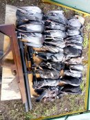 IMG_20180415_152615-spcs.me.jpg