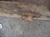 DSC07169.jpg