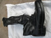 IMG_5367.jpg