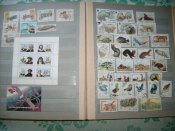 IMG_0005.jpg