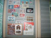IMG_0007.jpg