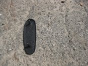 АВТ заготовка под схп
