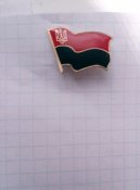 значок фрачник "правый сектор"