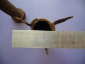 P1150709_thumb.jpg