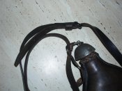 PA250202.jpg