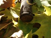 DSC05977.jpg