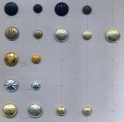 img041.jpg