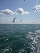 IMG_20190725_110421.jpg