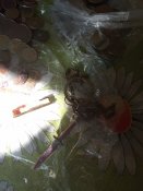 IMG_20190726_094421.jpg