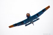 _MG_0190-2.jpg