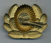 img871.jpg